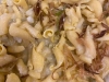 pasta-gorgonzola
